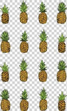 Illustration of pineapple fruit Stock Illustration