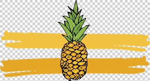 Illustration of pineapple fruit Stock Illustration
