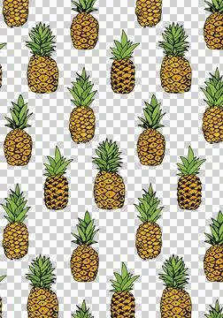 Illustration of pineapple fruit Stock Illustration
