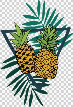 Illustration of pineapple fruit 스톡 일러스트