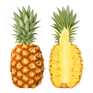 Illustration of pineapple Stock Illustration
