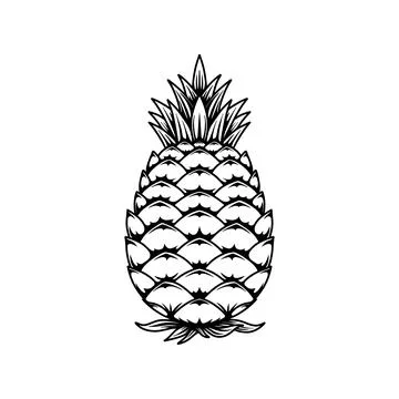 Illustration of pineapple. Vector design element Stock Illustration