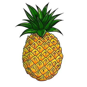 Illustration of Pineapple -Vector Illustration Stock Illustration