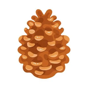 Illustration of pinecone Stock-Illustration