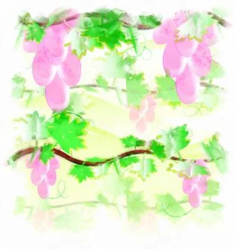 Illustration pink grape Stock Illustration