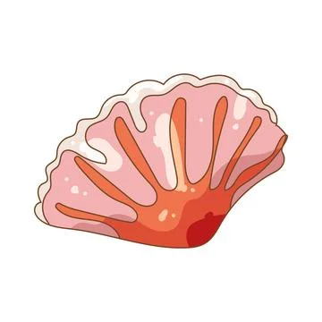 Illustration of pink scallop shell Stock Illustration