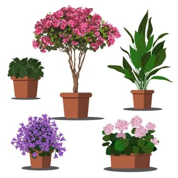 Illustration of plants in pots Illustrazione stock
