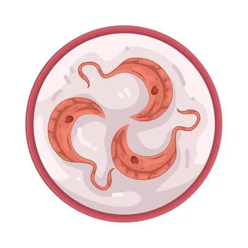 Illustration of Platelets Stock Illustration