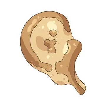 Illustration of pork chop Stock-Illustration