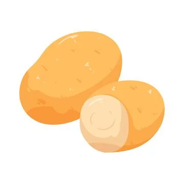 Illustration of potato 库存插图