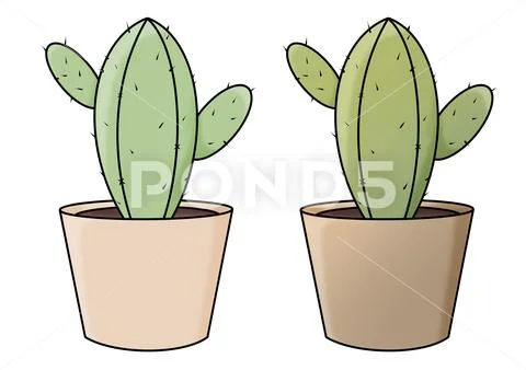 Illustration of Potted Cactus Plant. PSD Template