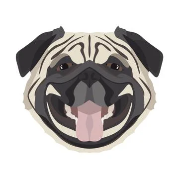 Illustration Pug . Stock Illustration
