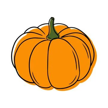 Illustration of a pumpkin in a linear style. Stock Illustration