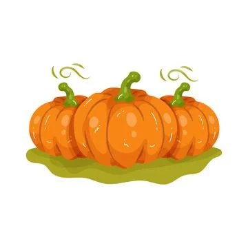 Illustration of pumpkin patch Stock Illustration