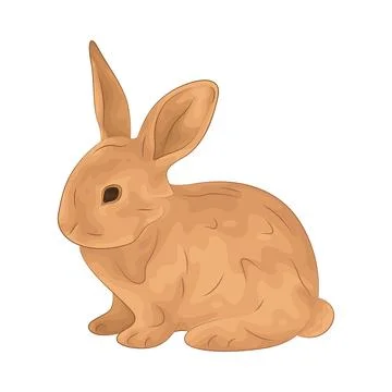 Illustration of rabbit Stock Illustration