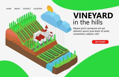 Illustration of a rain map on a vineyard Suitable for landing page, flyers, I Illustrazione stock