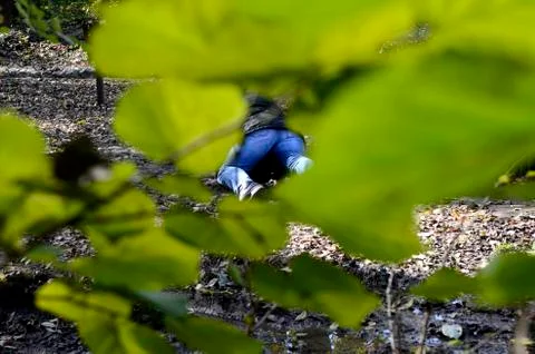 Illustration of Raping Stock Photos