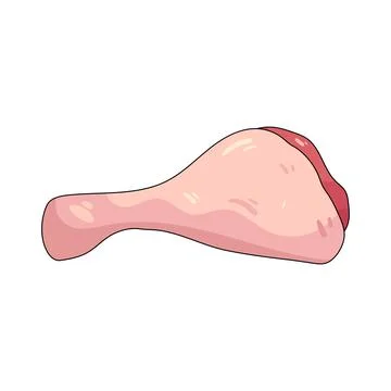 Illustration of raw chicken leg Stock Illustration