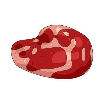 Illustration of raw steak Illustration