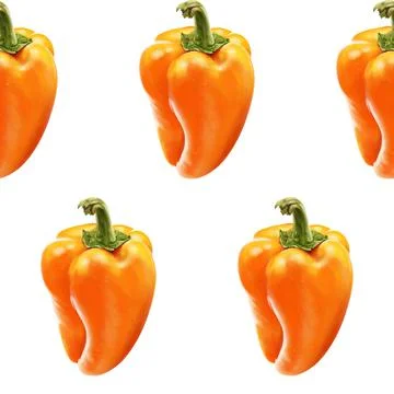 Illustration realism seamless pattern vegetable paprika orange color on a white Stock Illustration