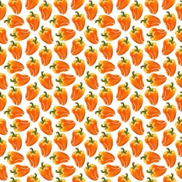 Illustration realism seamless pattern vegetable paprika orange color on a white Stock Illustration