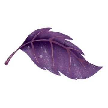Illustration. Red Basil leaf on white background. Stock Illustration