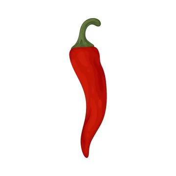 Illustration of Red chili Stock Illustration