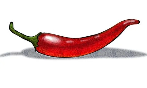 Illustration of red chilli pepper Illustrazione stock