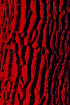 Illustration of red-colored tree bark Stock Illustration