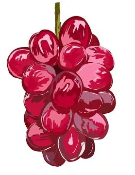Illustration of Red grape Stock Illustration