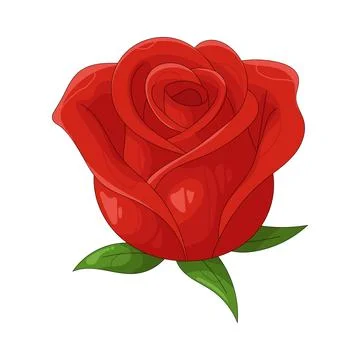Illustration of red rose Stock Illustration