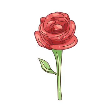 Illustration of red rose Stock Illustration