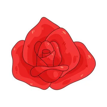 Illustration of red rose Stock Illustration