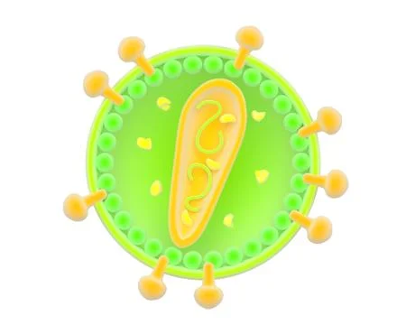 Illustration of a retrovirus Stock Illustration