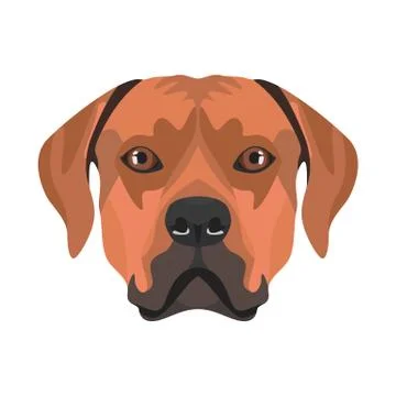 Illustration Rhodesian Ridgeback. Illustrazione stock