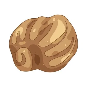 Illustration of ribbed shell Stock Illustration