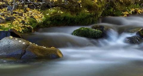 Illustration of the river in the Eastern Sierra Stock Illustration