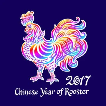 Illustration of a rooster with spread wings colored rainbow colors on a dar.. Stock Illustration