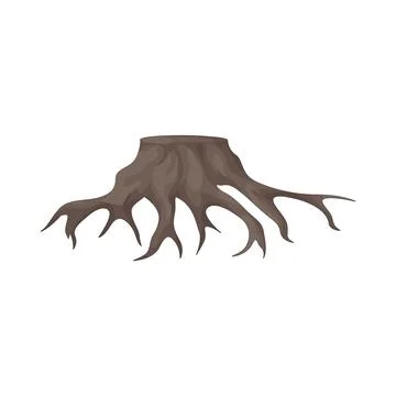 Illustration of root Stock Illustration