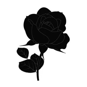 Illustration of rose flower vector design on a white background Stock Illustration