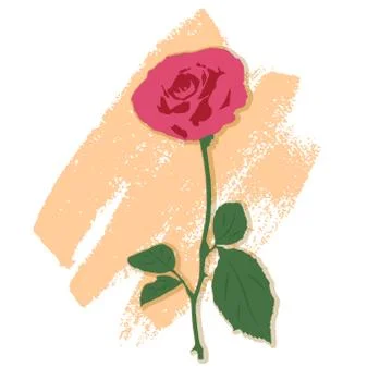 Illustration of a rose Stock Illustration
