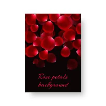 Illustration with rose petals Stock Illustration