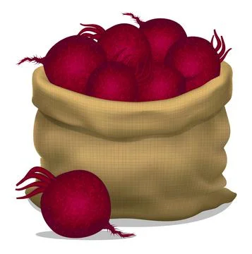 Illustration of a sack of beets on a white background. Vector icon. Stock Illustration