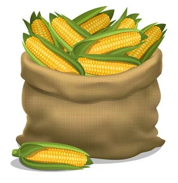 Illustration of a sack of corn on a white background. Vector icon. Stock Illustration