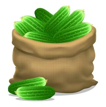 Illustration of a sack of cucumbers on a white background. Vector icon. Stock Illustration