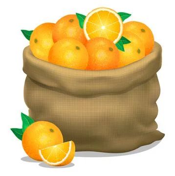 Illustration of a sack of oranges on a white background. Vector icon. Stock Illustration