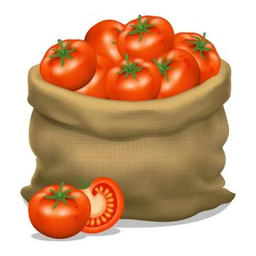 Illustration of a sack of tomatoes on a white background. Vector icon. Stock Illustration