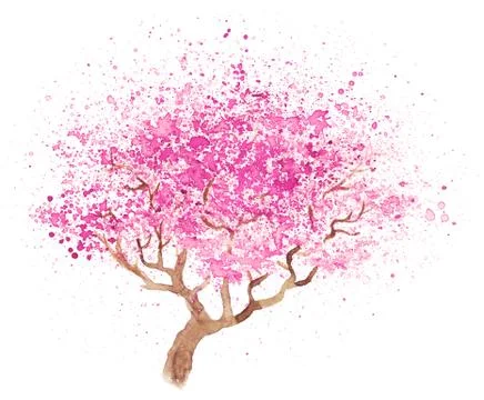 Illustration of sakura Stock Illustration
