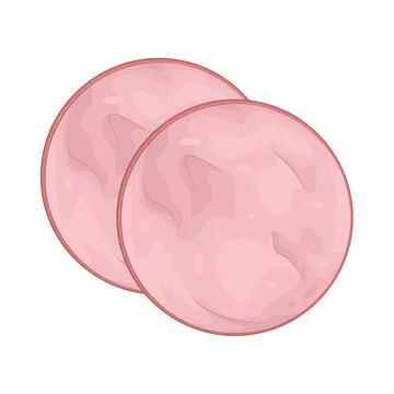Illustration of Salami Stock Illustration