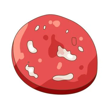 Illustration of salami slice Stock Illustration